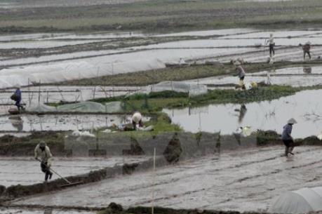 Vẫn chưa vận hành được hệ thống thủy lợi lấy nước từ hồ thủy điện Cần Đơn