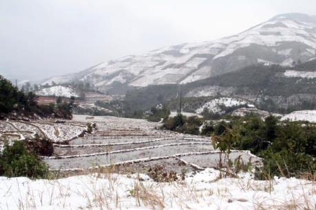 Dự báo thời tiết 10 ngày tới: Rét đậm, rét hại duy trì đến hết ngày 27/1