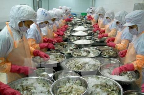 VASEP: Xuất khẩu tôm sang Mỹ sẽ có nhiều khởi sắc