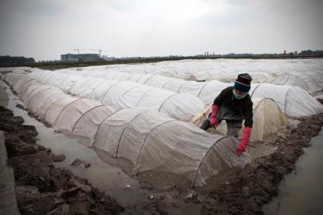 Dự báo thời tiết: Không khí lạnh đang suy yếu dần