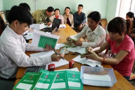 Ngân hàng Chính sách xã hội hỗ trợ đồng bào chịu thiệt hại từ giá rét