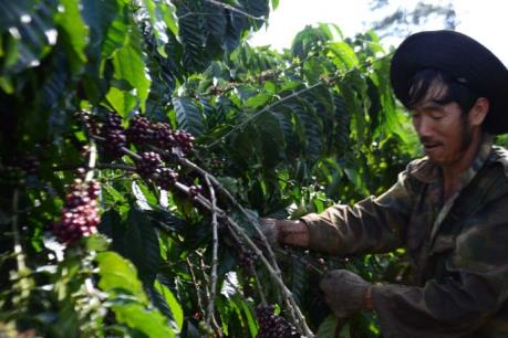 Khánh Hòa xuất siêu trên 280 triệu USD