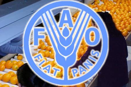 Việt Nam tham gia dự án khu vực do FAO tài trợ