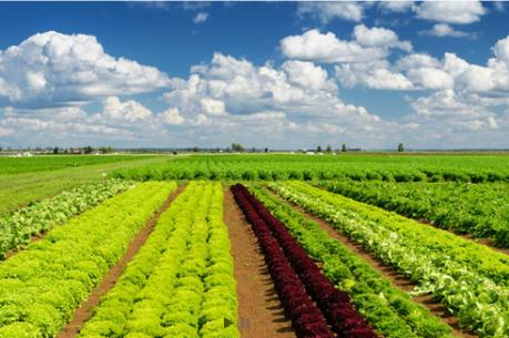 SSI AM nâng sở hữu tại PAN group lên 7,42%