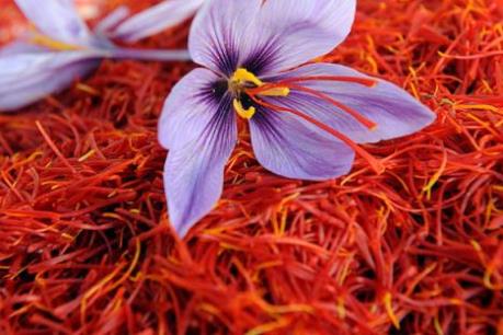 Gia vị đắt nhất thế giới saffron của Iran sắp quay lại thị trường Mỹ
