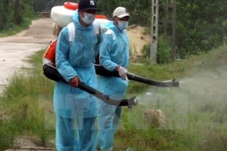 Sẵn sàng cơ số thuốc, phương tiện hỗ trợ  xử lý ổ dịch vi rút zika