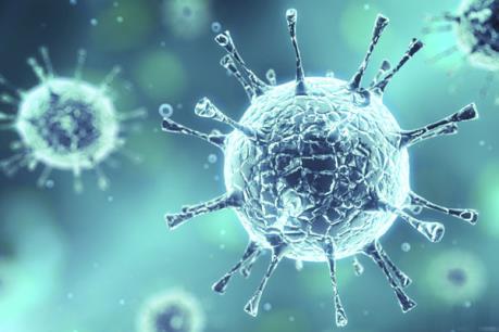 Sự phát tán của vi rút Zika