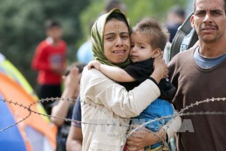 Vấn đề người di cư: 10.000 trẻ em tị nạn mất tích ở châu Âu