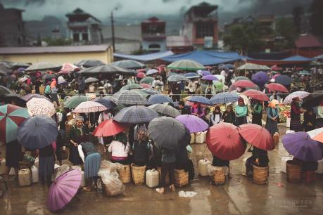 Dự báo thời tiết ngày 1/2: Bắc Bộ đón đợt rét đậm mới, Hà Nội có nơi dưới 11 độ C