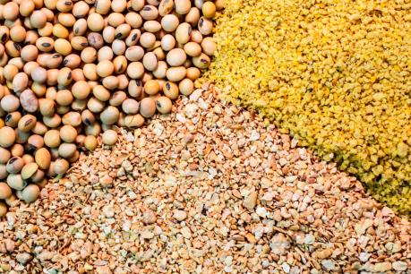 HPG: Hòa Phát chi 2.500 tỷ đồng thành lập công ty nông nghiệp