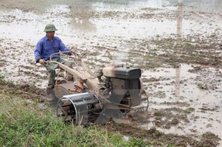 Dừng lấy nước đợt 2 vụ Đông Xuân 2015-2016