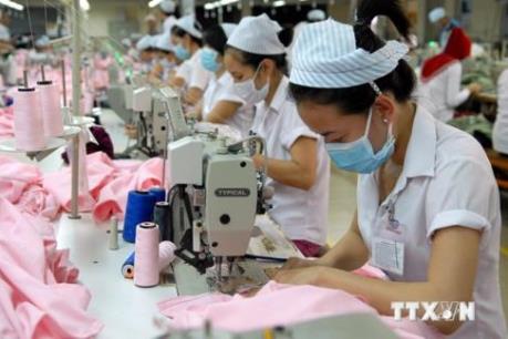 Nhiều doanh nghiệp dệt may tìm nguồn nguyên liệu trong nước