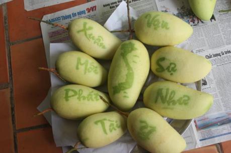 Độc đáo xoài chữ chưng tết giá 300.000 đồng/quả
