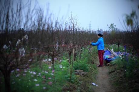 Lịch nghỉ Tết Nguyên đán 2023 chính thức