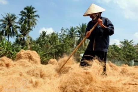 Nhộn nhịp làng nghề làm chỉ xơ dừa ven sông Thom