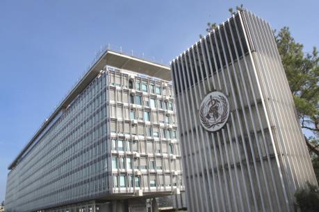 WHO cảnh báo châu Âu phải sớm ngăn chặn virus Zika