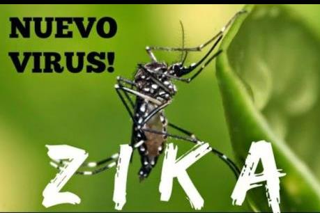 Nguy cơ lan truyền vi rút Zika vào Việt Nam là rất lớn