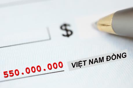 Xử phạt ông Trịnh Công Sơn 550 triệu đồng