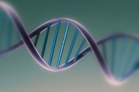 Anh thử nghiệm phương pháp sửa lại gien khuyết tật trong phôi thai người