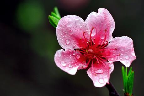 Khép lại năm Ất Mùi, thị trường chứng khoán Việt Nam tăng điểm