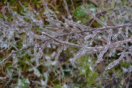 Dự báo thời tiết: Tối mai, vùng núi cao Bắc Bộ đề phòng băng giá
