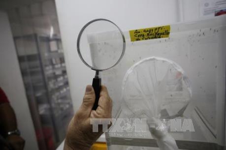 Colombia thông báo trường hợp tử vong do biến chứng Zika