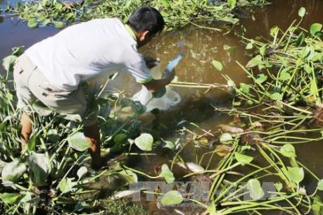 Cá chết trên sông Cái Vừng An Giang vẫn tiếp tục lan rộng