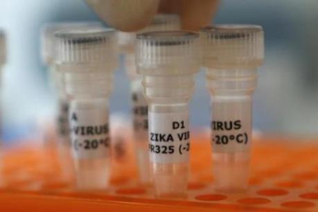 Châu Âu thành lập nhóm chuyên gia về virus Zika