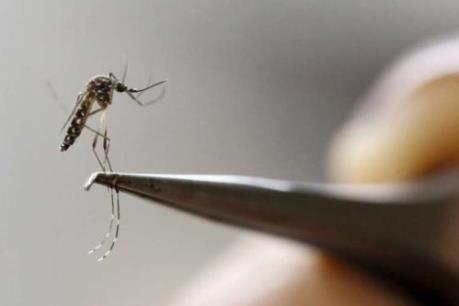 Trung Quốc ghi nhận trường hợp nhiễm virus Zika đầu tiên