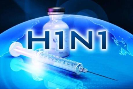Ấn Độ: 26 trường hợp ở Punjab tử vong do mắc cúm gia cầm