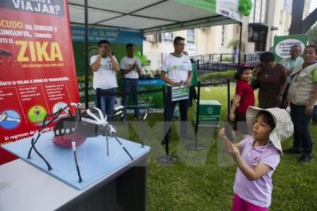 Anh ghi nhận bốn ca nhiễm virus Zika kể từ đầu năm