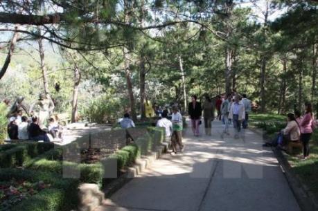 Nhiều khách sạn ở Đà Lạt "cháy phòng", giá tăng cao