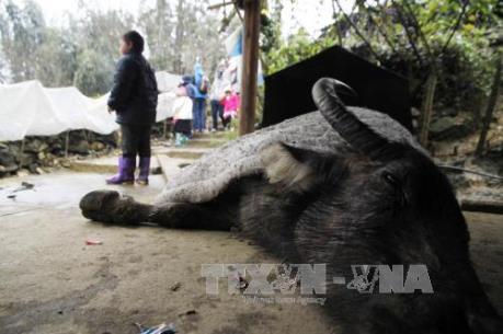 Vụ nghi ngộ độc thực phẩm ở Yên Bái: Sức khỏe các bệnh nhân đã ổn định