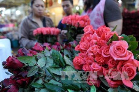 Hoa hồng tăng giá "đột biến" trong dịp Lễ tình nhân 2016