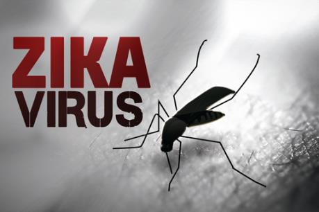 Bộ Y tế: Phụ nữ cần tự bảo vệ mình để tránh nhiễm vi rút Zika