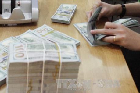Tỷ giá tăng, cung cầu ngoại tệ vẫn trong tầm kiểm soát