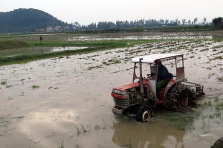 Gần 94% diện tích đã có nước gieo cấy vụ đông xuân