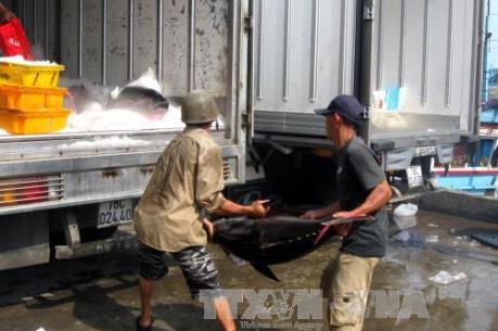 Sớm giải quyết bất cập trong thu phí ở Cảng cá Phú Lạc