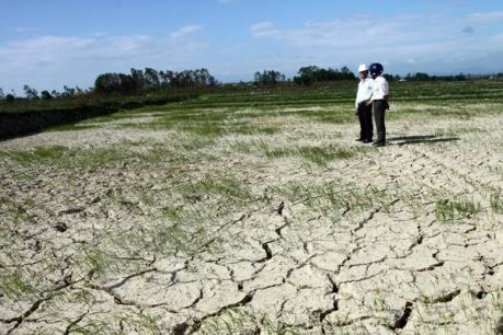 Nhiều thành phố có khả năng thiếu nước sinh hoạt vì hạn, mặn