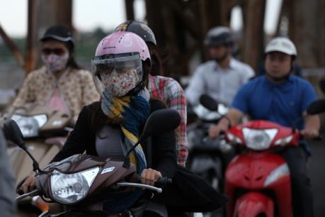 Dự báo thời tiết 10 ngày tới: Từ 24-26/2 trời rét đậm, vùng núi rét hại