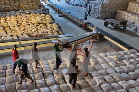 Doanh nghiệp xuất khẩu gạo “khát” thông tin về thị trường
