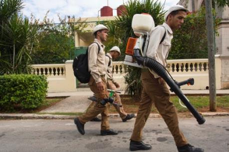 Thế giới quyết liệt chống dịch bệnh do virus Zika gây ra