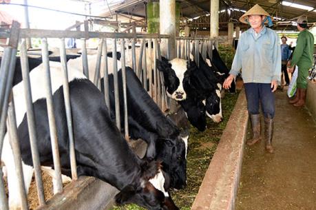 HNG: Phát hành 59 triệu cổ phiếu đúng thời hạn