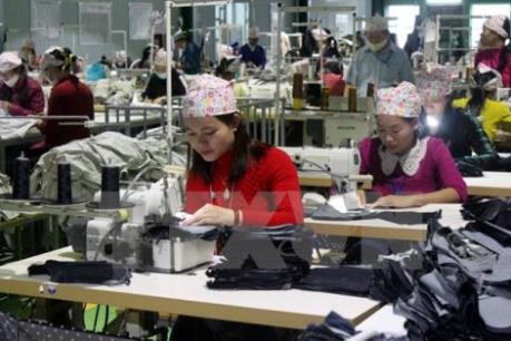 Thị trường lao động Việt Nam: Thất nghiệp ở nông thôn có xu hướng tăng