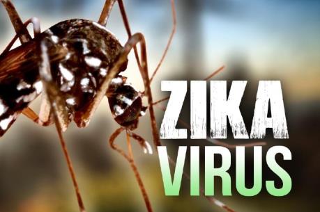 Nhật Bản xác nhận trường hợp nhiễm virus Zika đầu tiên kể từ năm ngoái