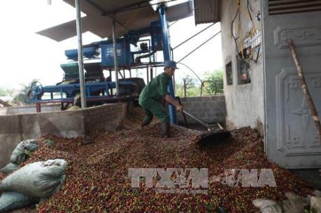 Kim ngạch xuất khẩu nông, lâm, thủy sản tăng 5,5%