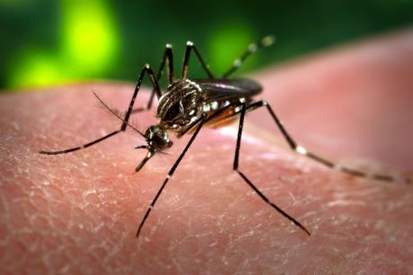 Virus Zika lây lan nhanh tại Colombia