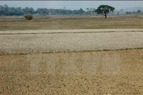 Đồng bằng sông Cửu Long: Mặn có thể xâm nhập sâu đến 50 km