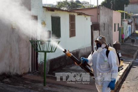 Trung Quốc tiếp tục ghi nhận thêm trường hợp nhiễm virus Zika