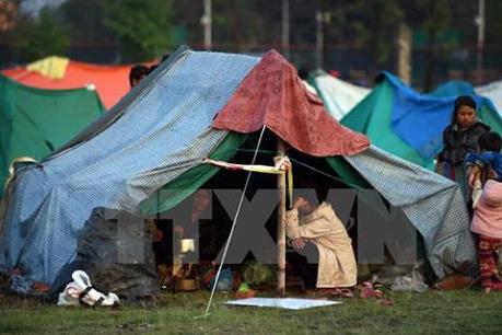 Ấn Độ cam kết chi hàng tỷ USD để hỗ trợ nông dân